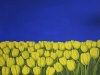 2000