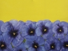 2001