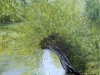 2002