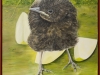 2003