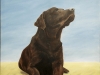 2004