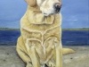 2004