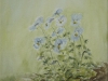 2004