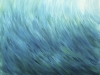 2004