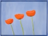2005
