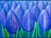2008