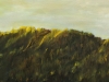 2009